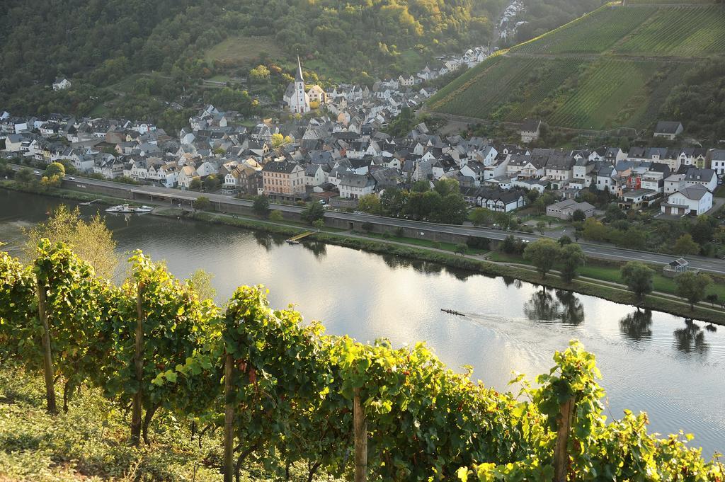 Weingut Rosenbaum Apartment Briedel Exterior photo
